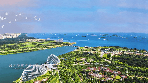 首页| 尊龙·Z6(中国集团)官方网站