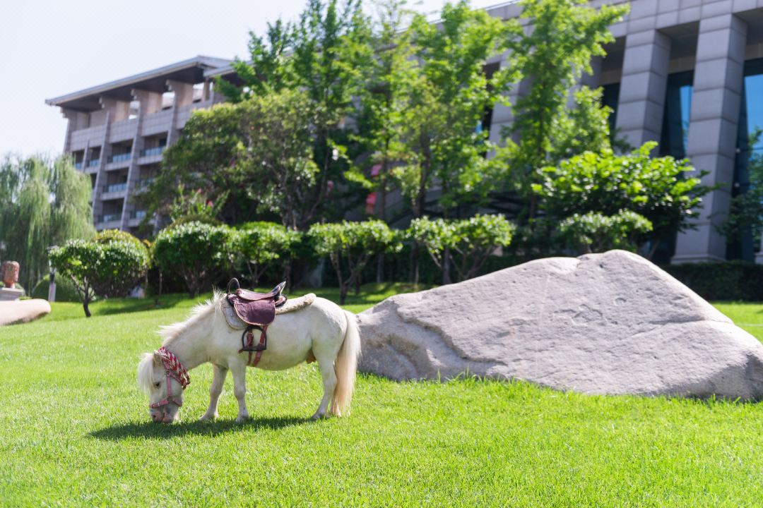 首页| 尊龙·Z6(中国集团)官方网站