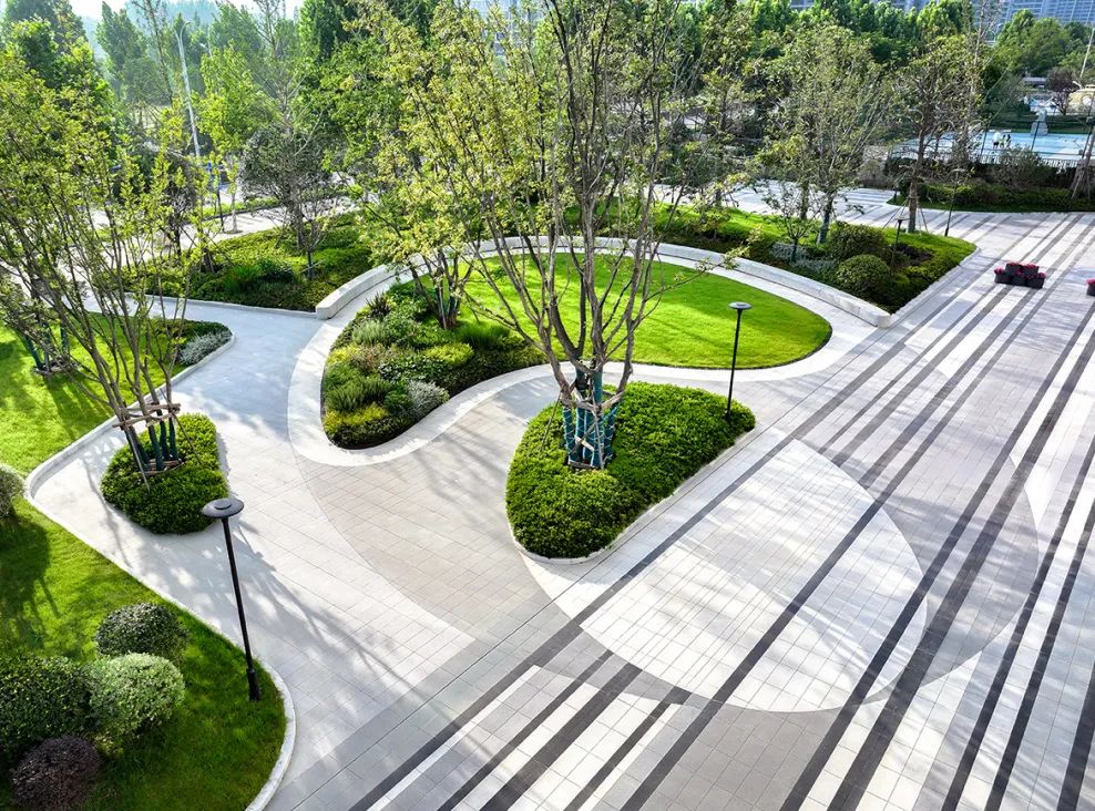 首页| 尊龙·Z6(中国集团)官方网站