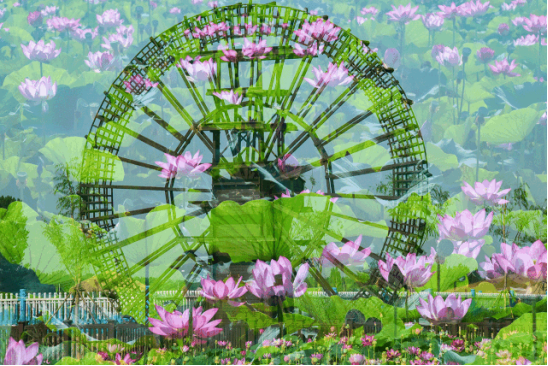 首页| 尊龙·Z6(中国集团)官方网站