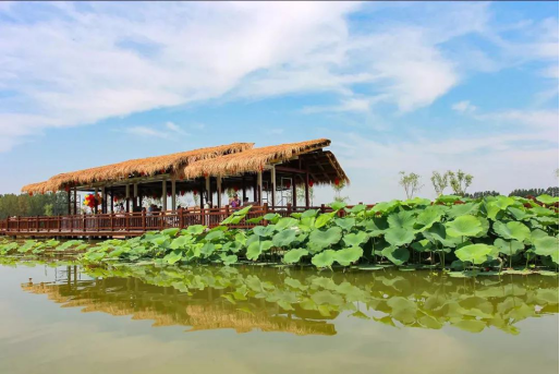 首页| 尊龙·Z6(中国集团)官方网站