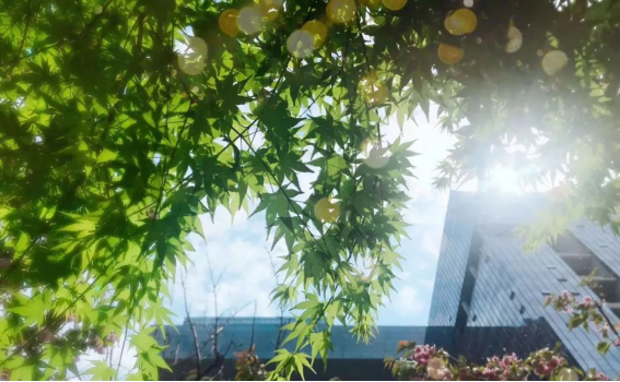 首页| 尊龙·Z6(中国集团)官方网站