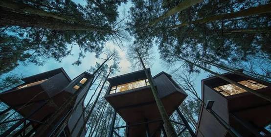 首页| 尊龙·Z6(中国集团)官方网站