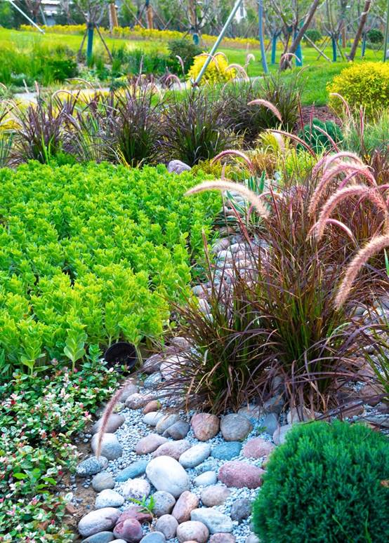 首页| 尊龙·Z6(中国集团)官方网站